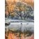 Tableau -Moderno CFM16590, Celito Medeiros