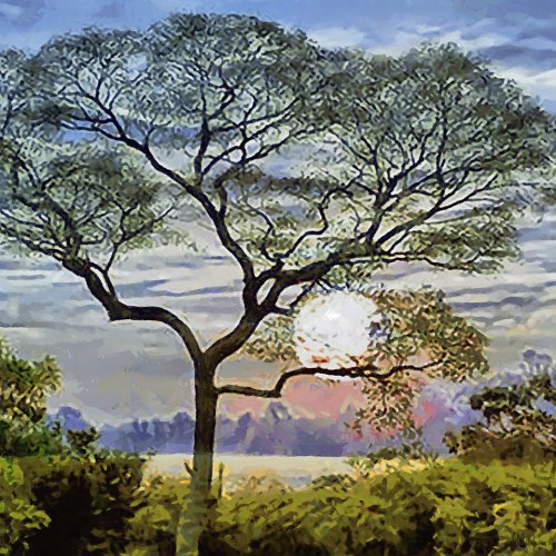 Tableau -Moderno CFM17896, Celito Medeiros