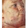 Interfaçage, 1992, Jenny Saville
