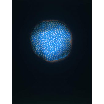  - Sans titre, 1954 (pastel & w/c sur papier), Yayoi Kusama - BRIDGEMAN IMAGES