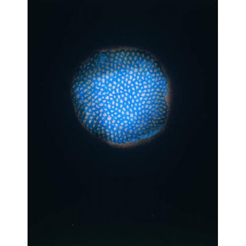Sans titre, 1954 (pastel & w/c sur papier), Yayoi Kusama