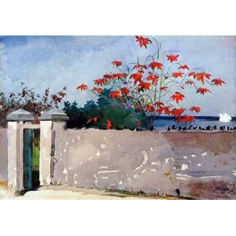 Tableaux Mappemondes - Tableau -Un Muro, Nassau-, Winslow Homer - Homer, Winslow