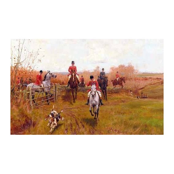 fotos de fauna - Quadro -Over The Fence-