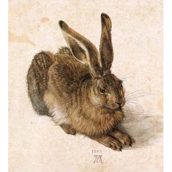 Tableaux d'Animaux - Cuadro de Animales - Joven Liebre, Albrecht (Albert Durer) Dürer - Dürer, Albrecht (Albert Durer)