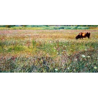  - Tableau -Roman countryside-, Umberto Boccioni - Boccioni, Umberto
